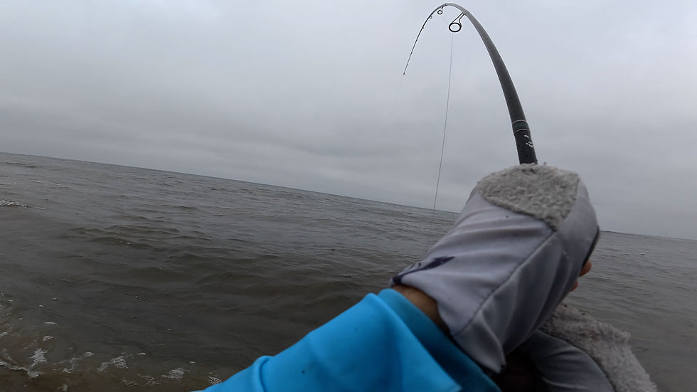 



@VINCEGOESFISHING fighting a heavy Calico Bass with two hands.

