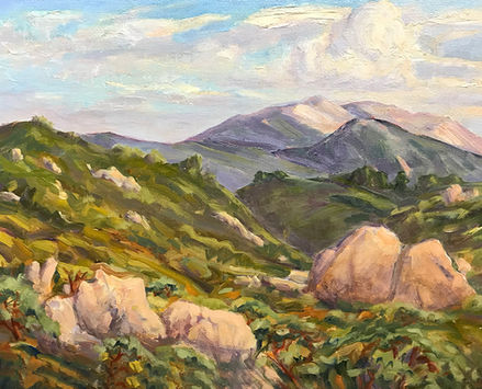 William Mitchell 677. Western Boulders 16 x 20 oil on canvas $1600