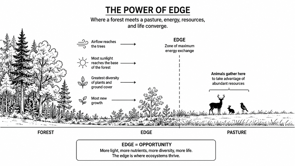 where forests meet a pasture, energy, resources, and life converge. The edge is opportunity.