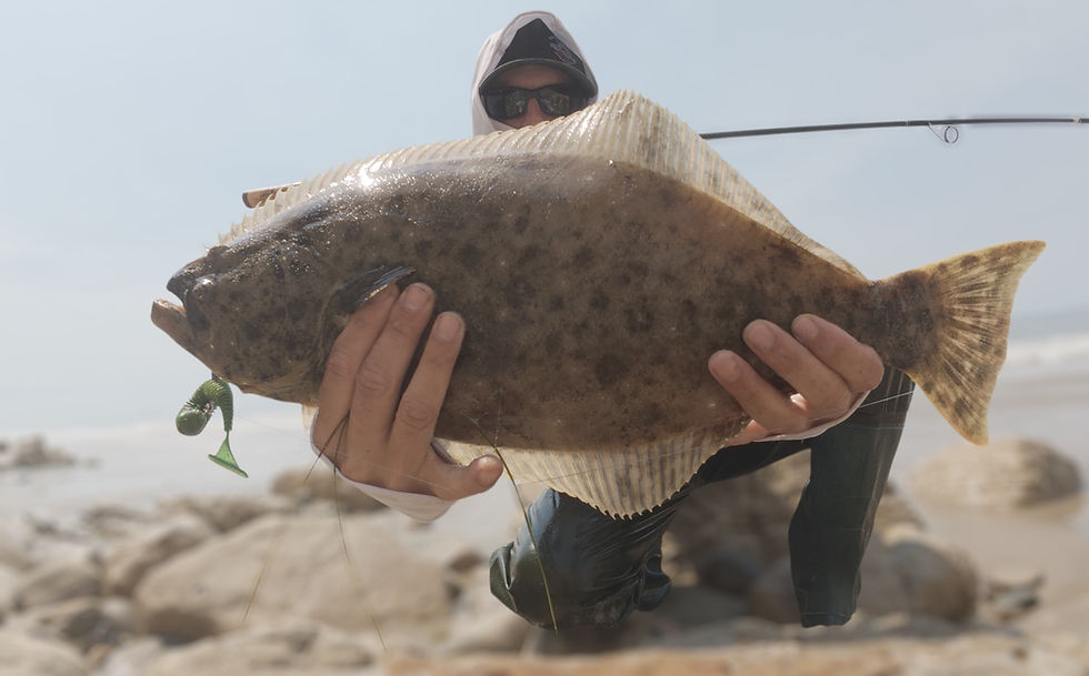 @VINCEGOESFISHING caught this Halibut on a Battlestar 5 inch rib bait UV MONO GREEN with XLS Weighted Swimbait Hook 3/8oz Shoutout Hook Line & Sinker tackle shop in Santa Barbara, CA @hls.tackle.co
