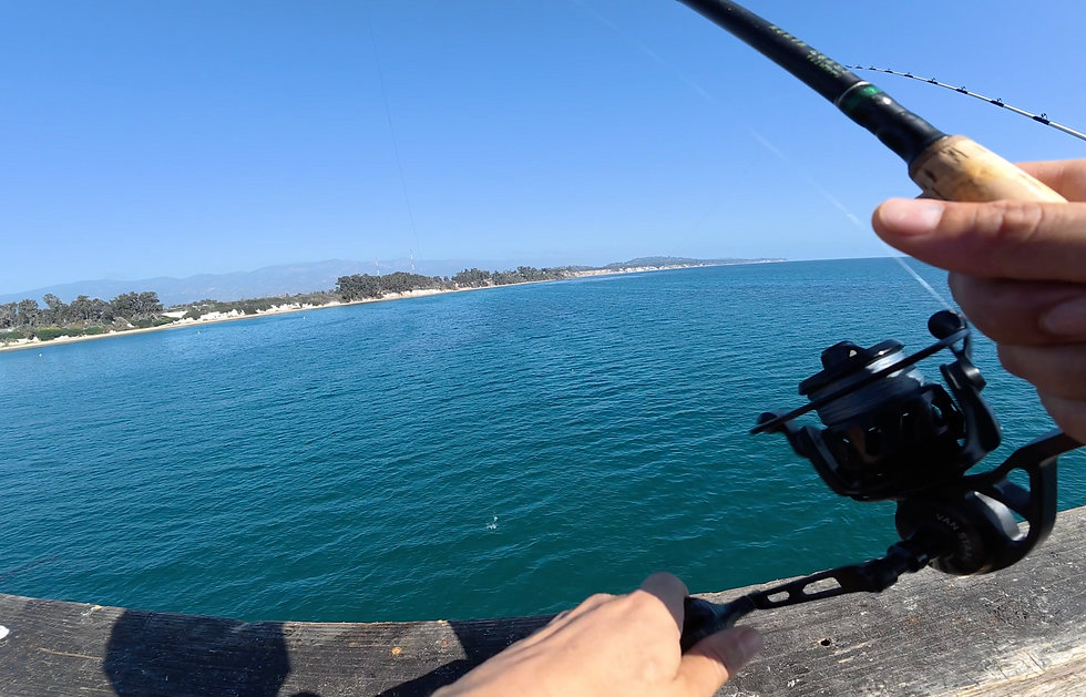 What's that? A Mackerel? A Sardine? Can we land it without it shaking off the hook?