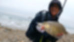 VINCEGOESFISHING Holding a big California Barred Surfperch caught on Battlestar 115 Jerkbait, Glow White Sardine