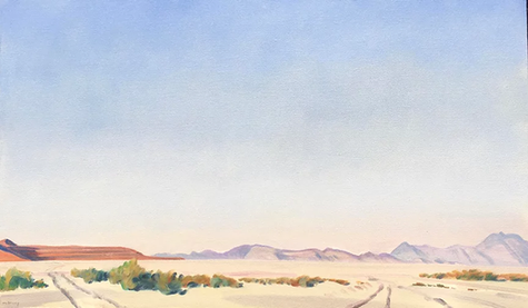 534. Up The Playa From Lithium Mine Dr..webp