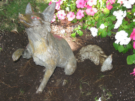 Island Fox
14" $3200
