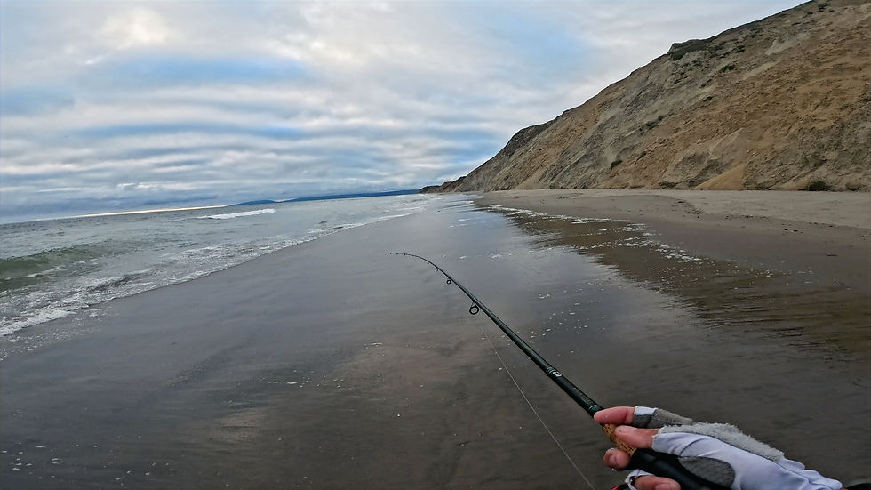 VINCE GOES FISHING marvels at the absolute beauty of this south San Fransisco beach.