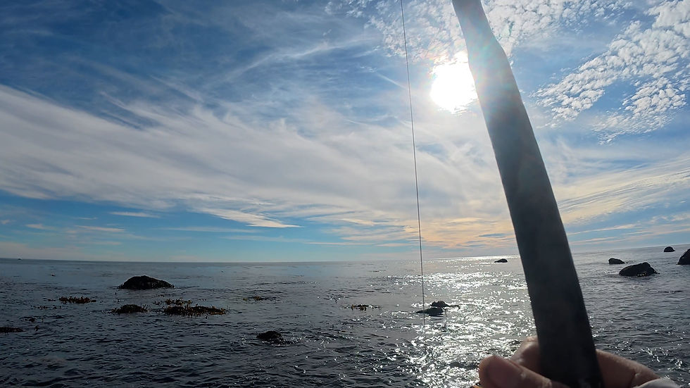 The last spot was shallow, and kelpy, with plenty of reef rock.