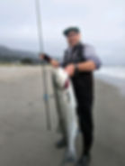 Scott Kandler with a huge CA Striped Bass caught on Battlestar 115 Jerkbait.