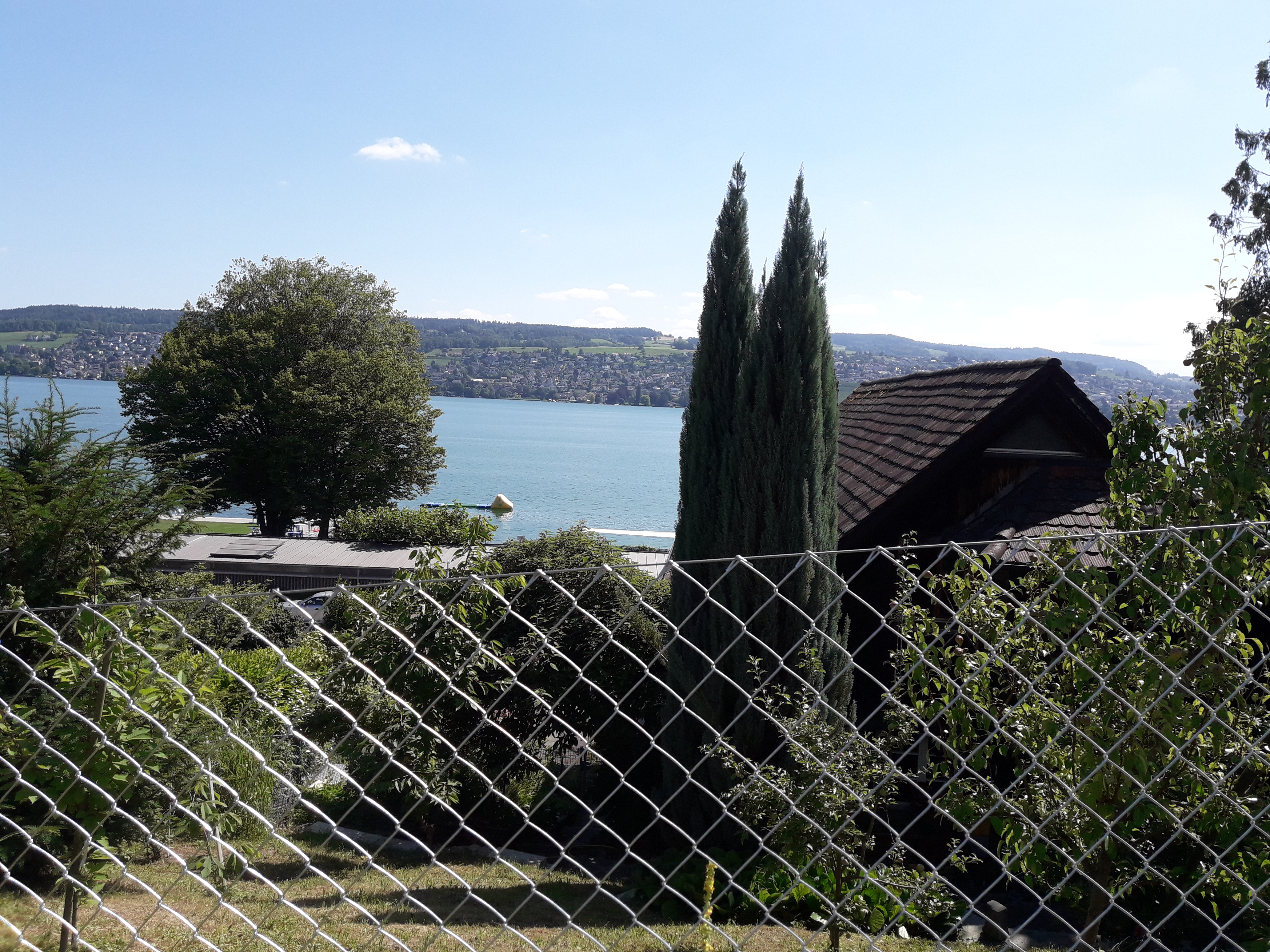 Diagonalgeflecht in Thalwil