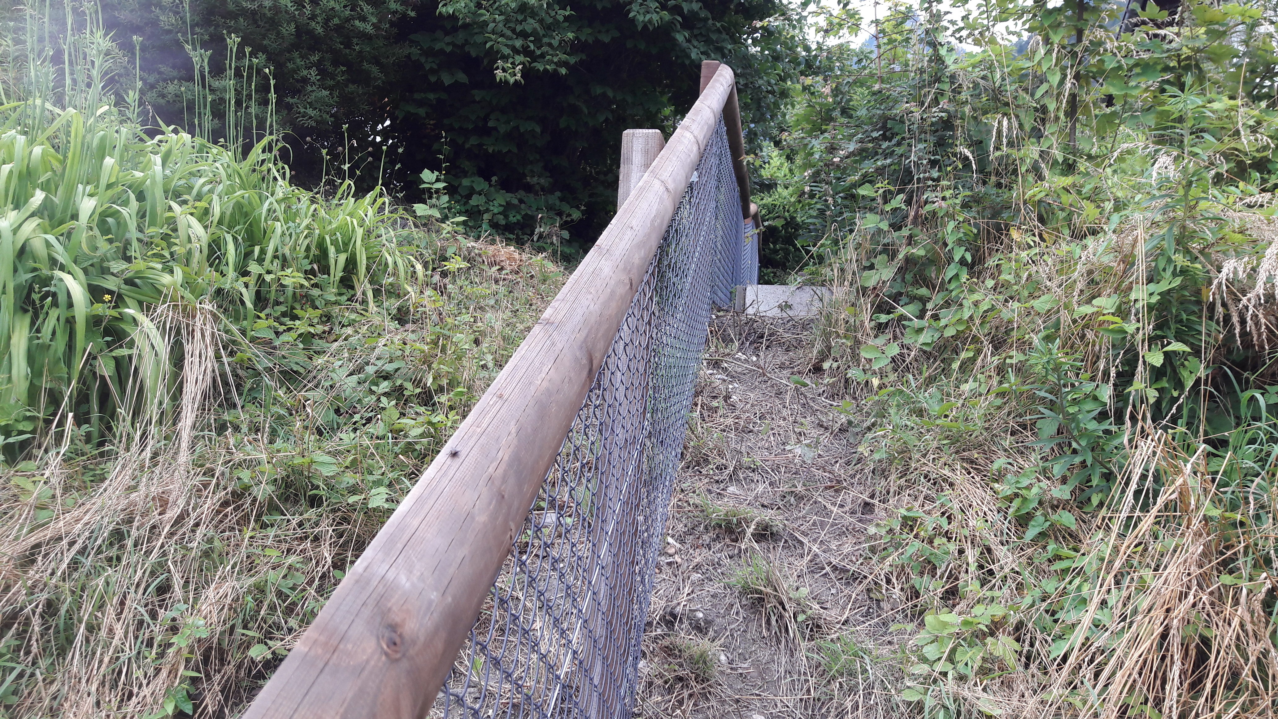 Weidezaun mit Diagonalgeflecht anthr