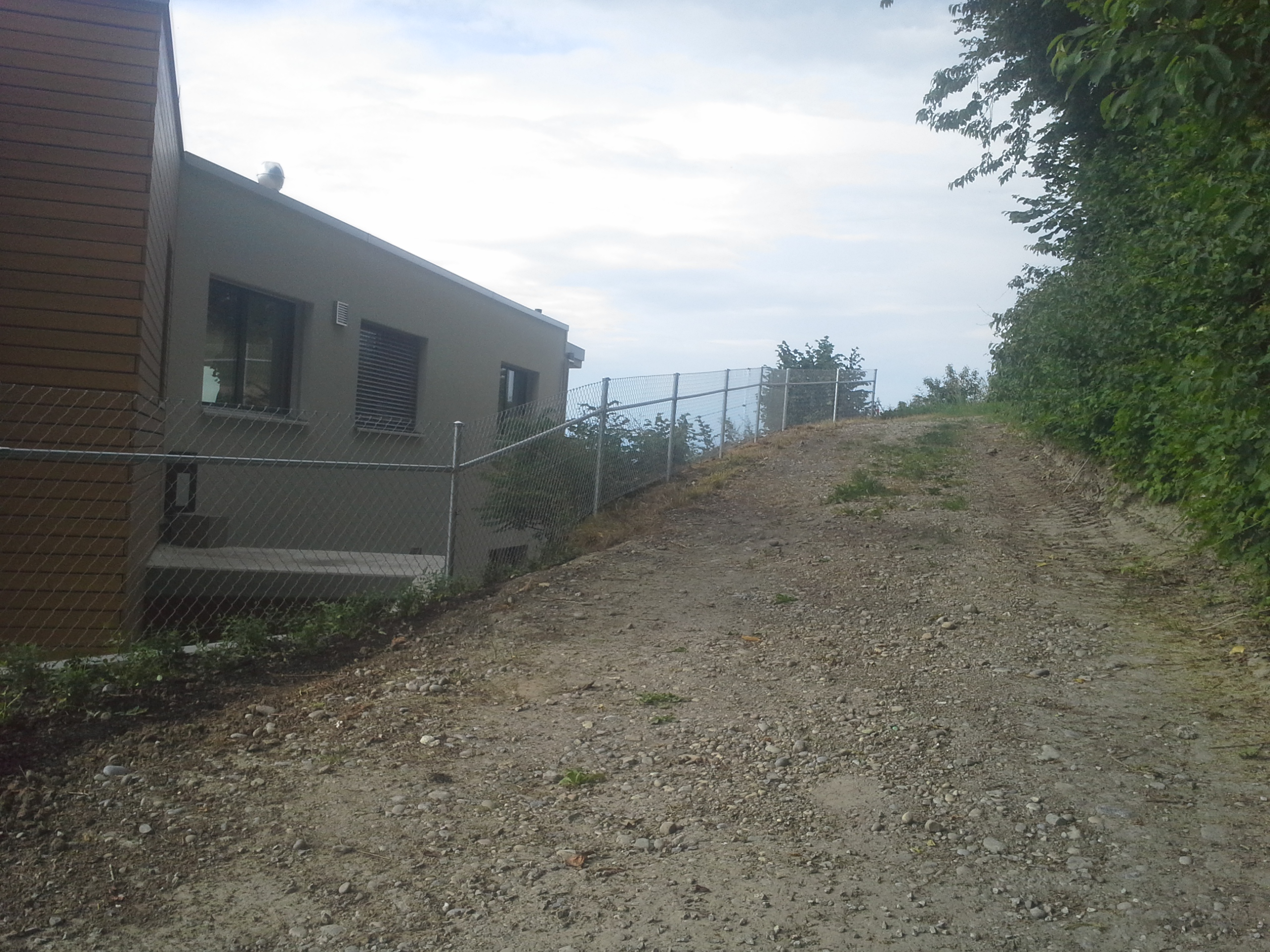 Diagonalgeflechtzaun in Steckborn (