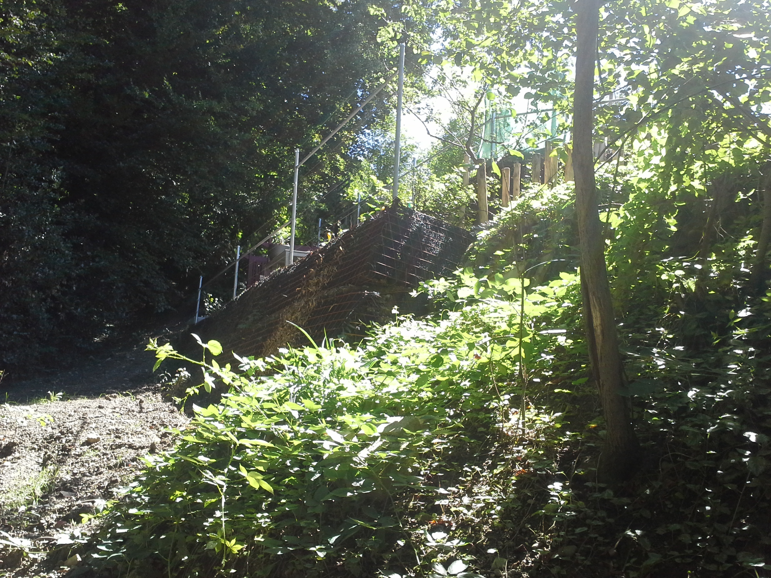 Seilzaun in Felben
