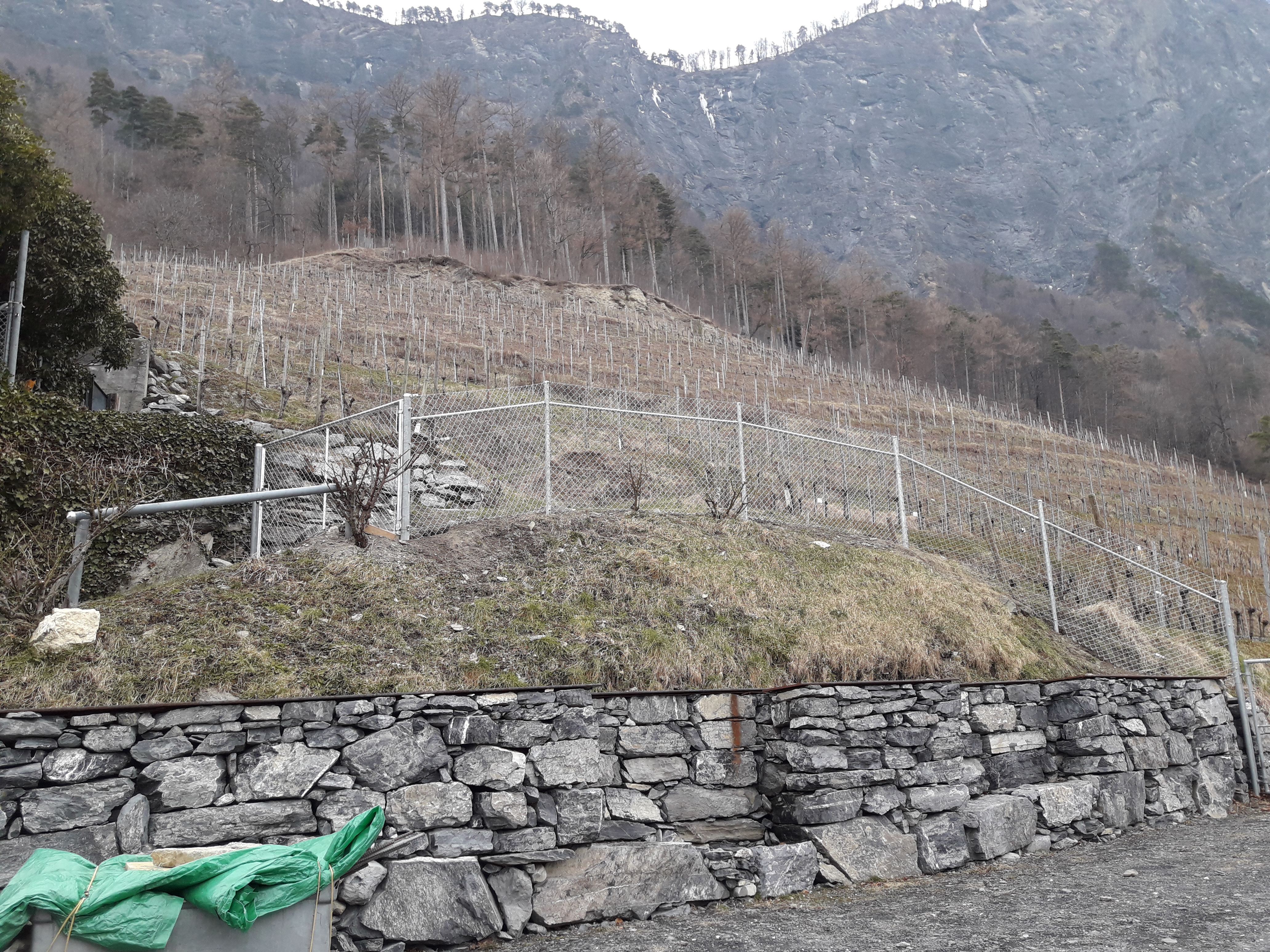 http://weingut-hermann.ch