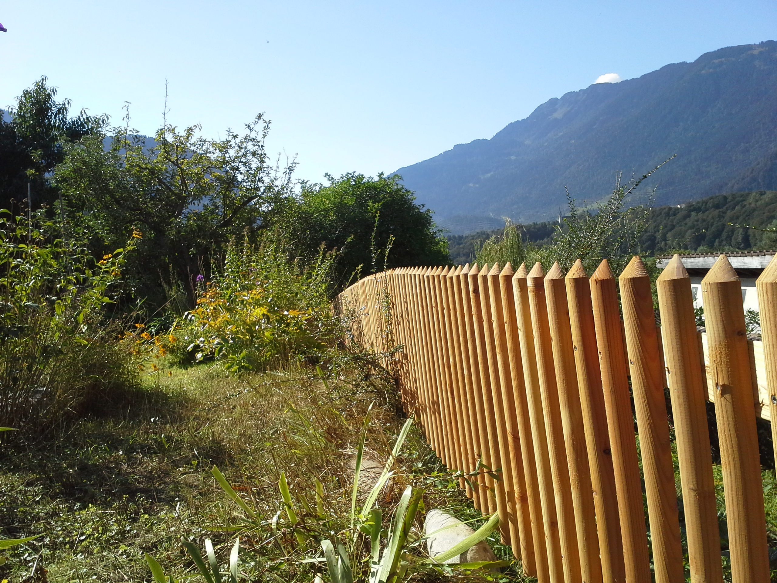 Palisadenzaun in Tamins(GR)