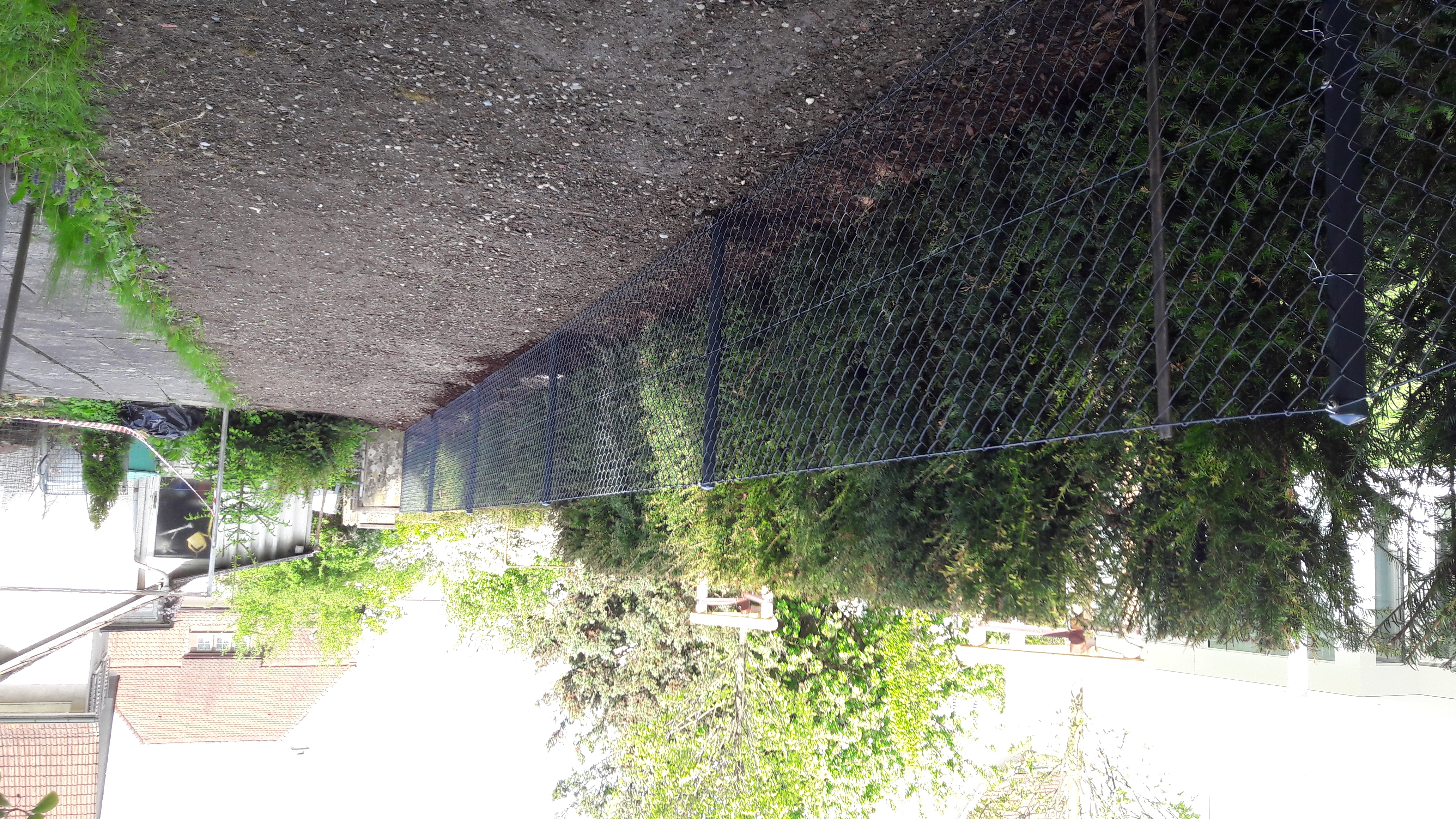 Diagonalgeflechtzaun anthrazit