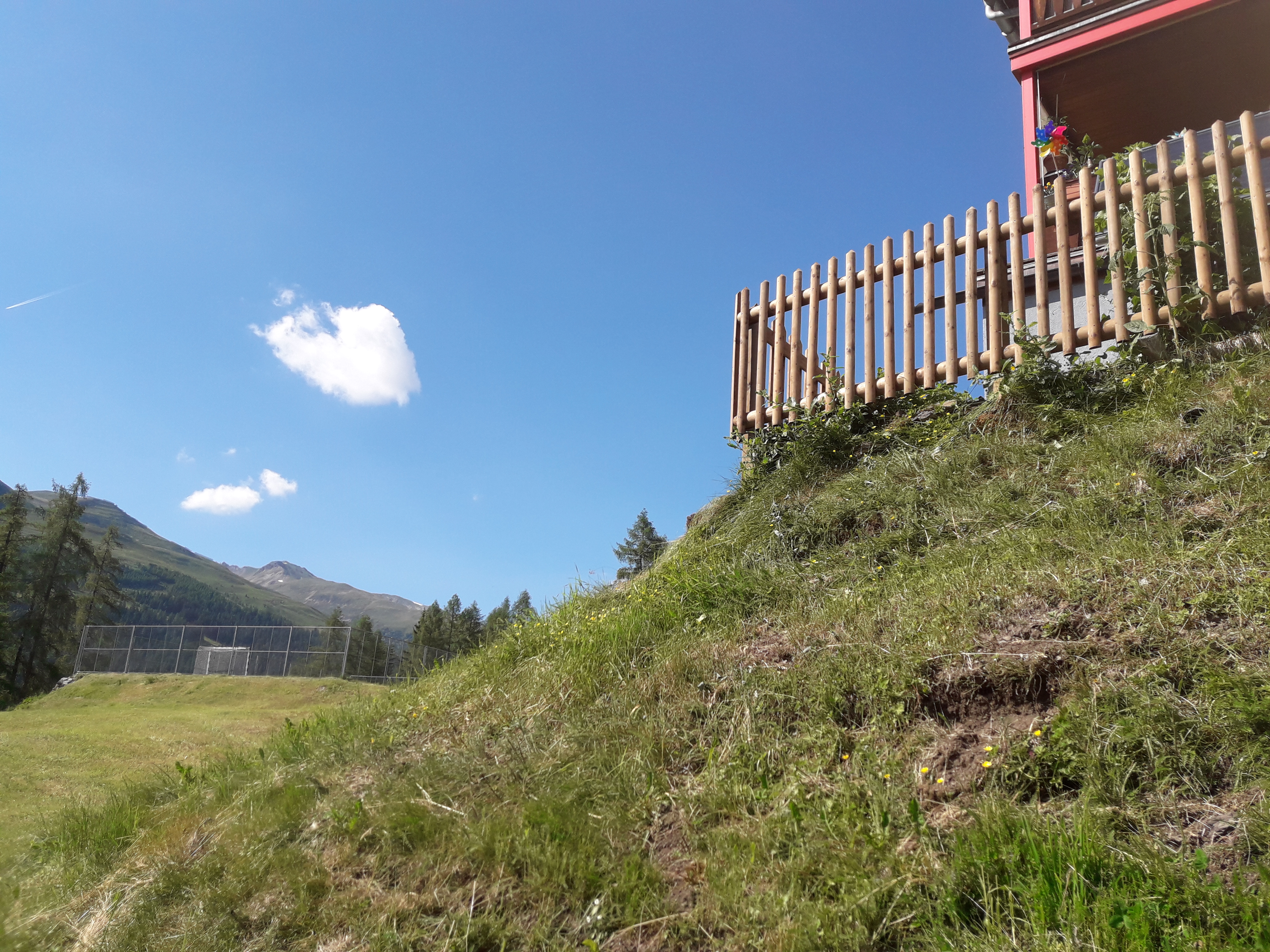 Palisadenzaun im Sertigtal (GR) Juni