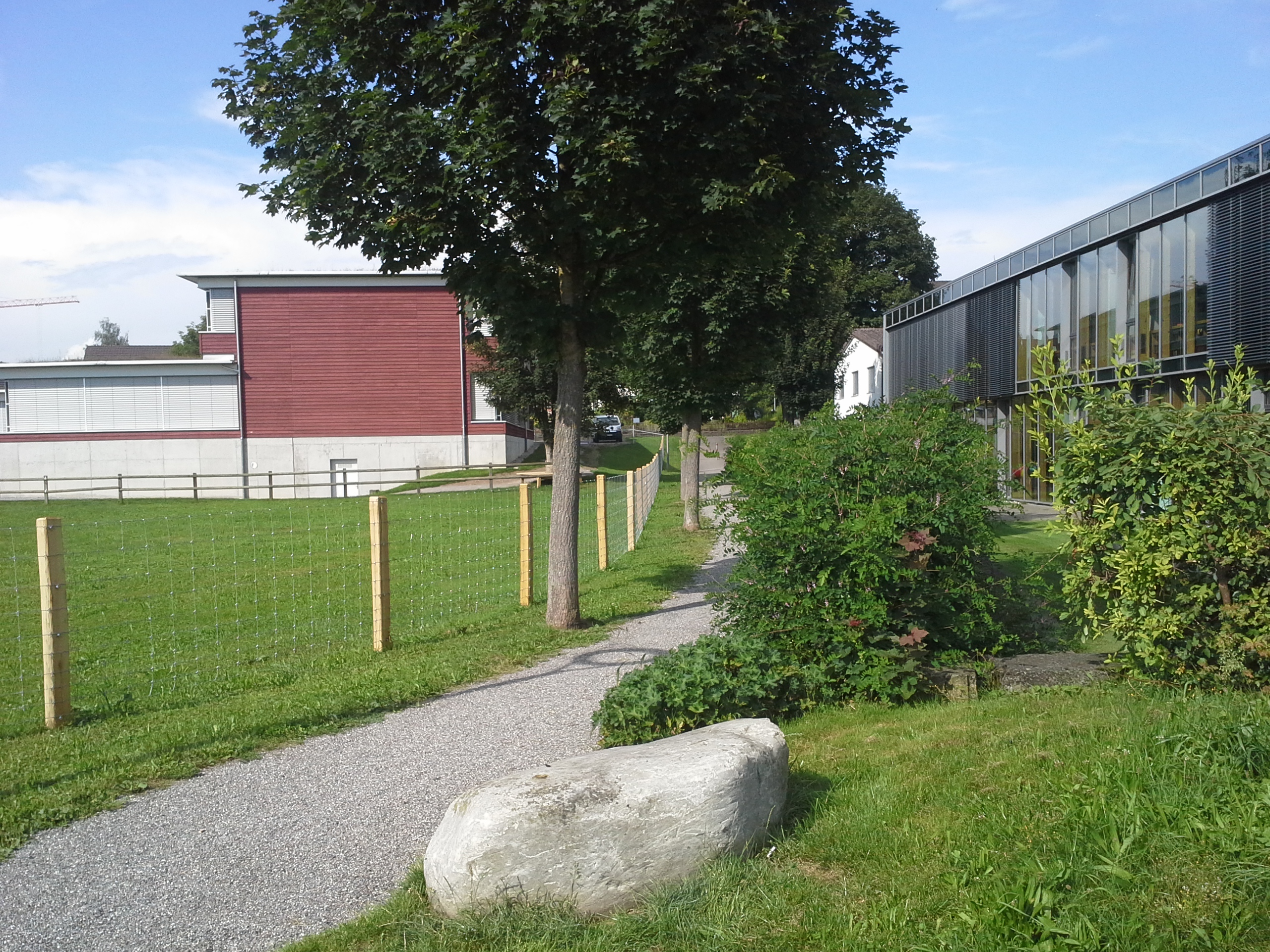 Knotengitterzaun Thurgauische Sprach