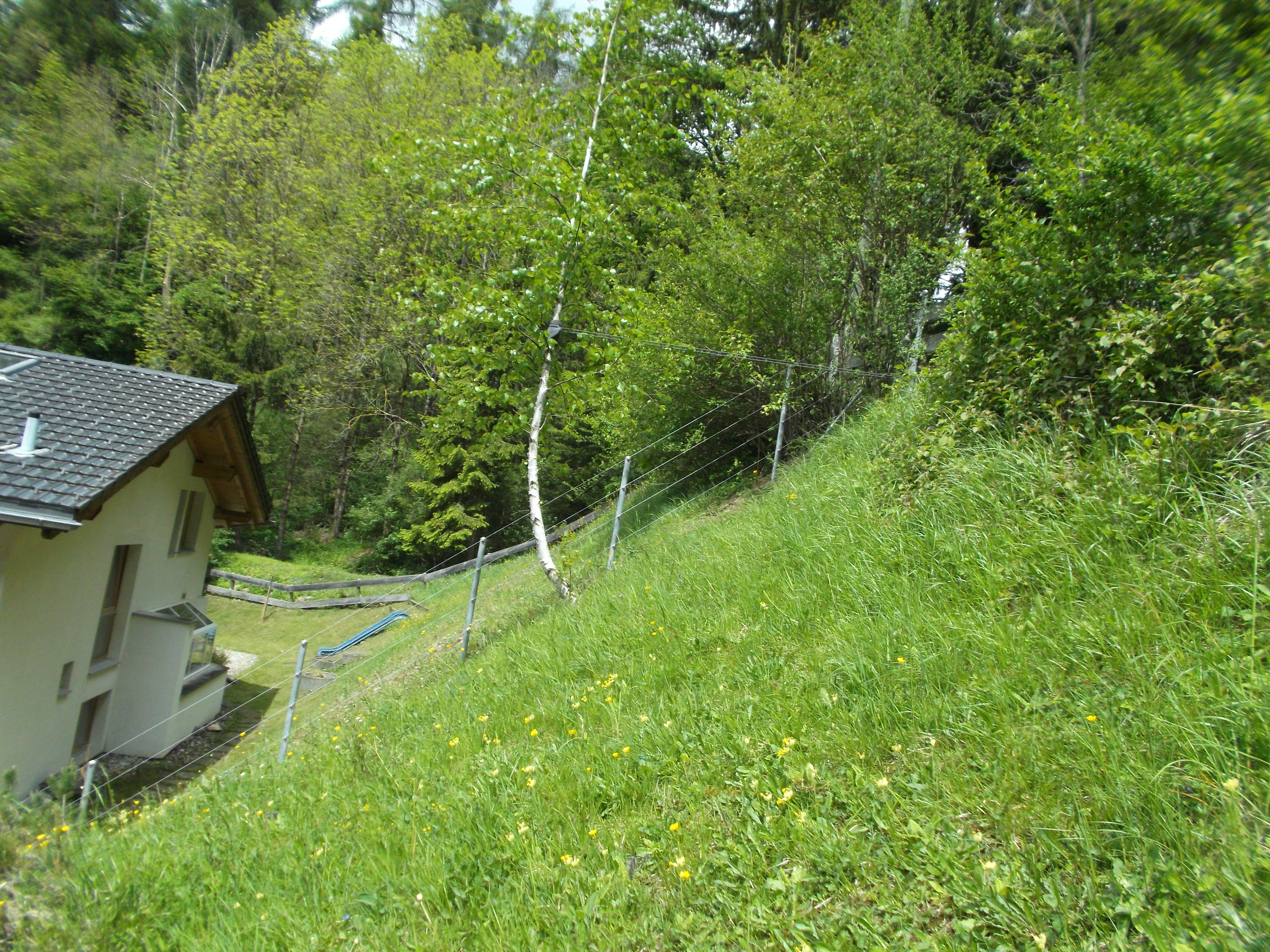 Spanndrahttaun in Schiers