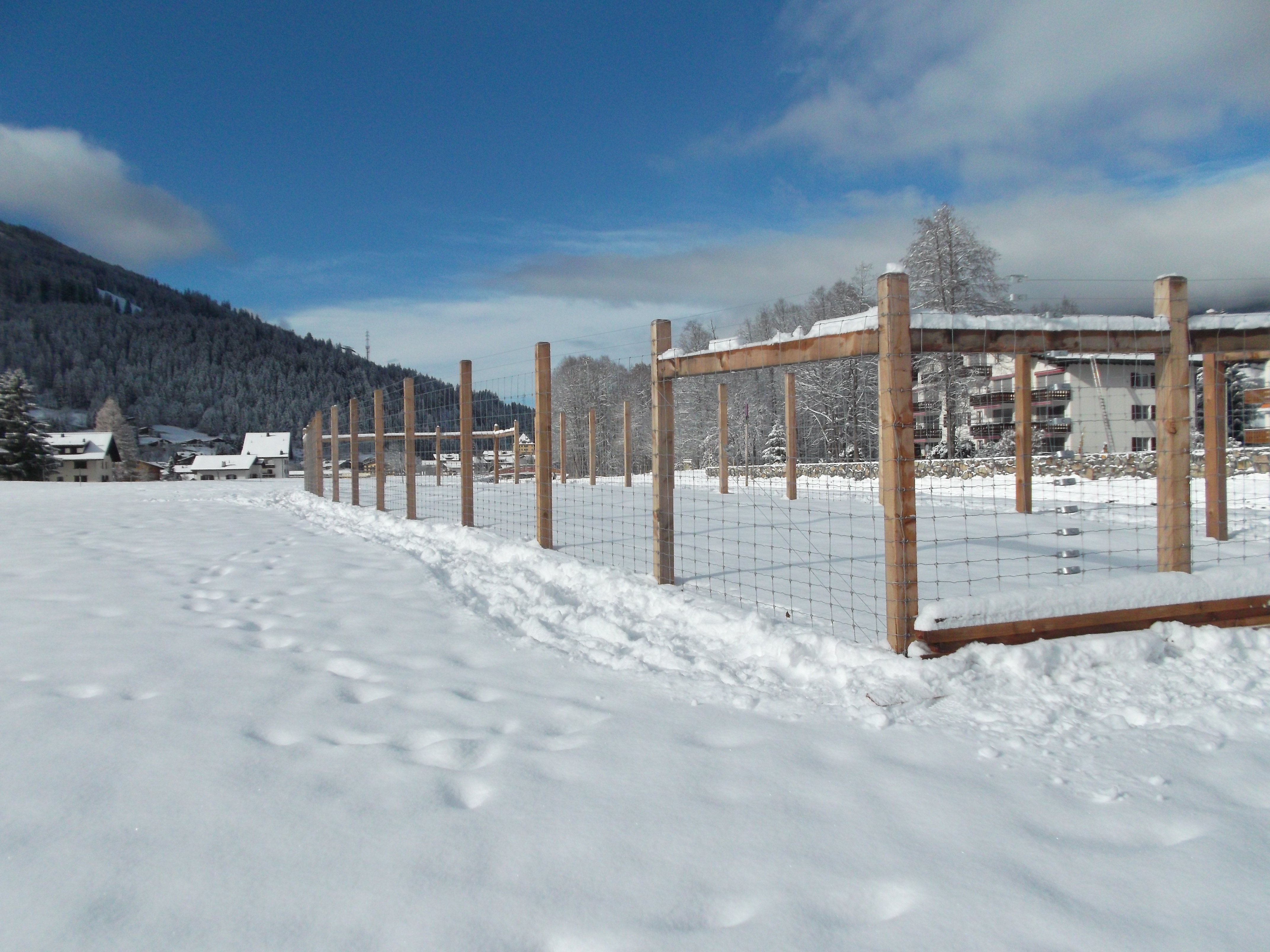 Wildschutzzaun in Davos