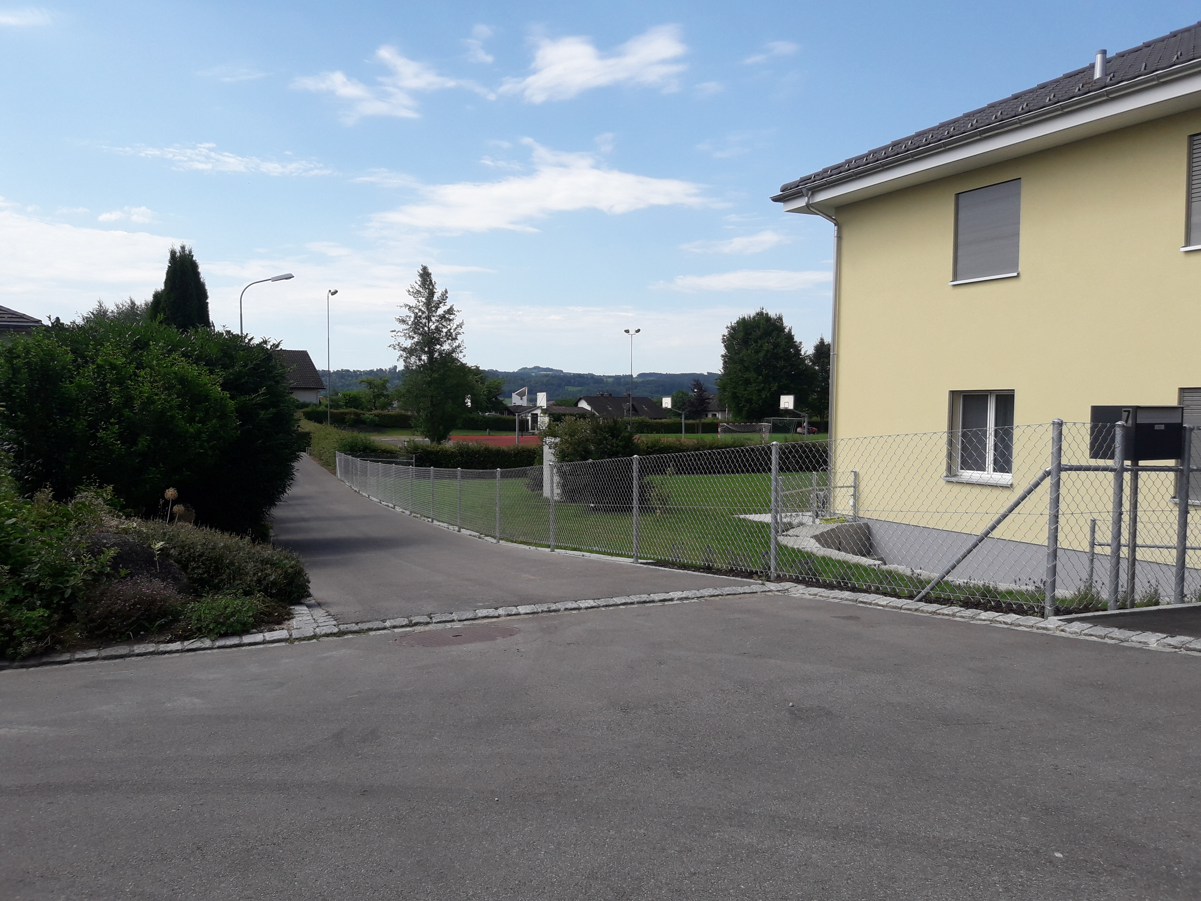 Diagonalgeflechtzaun in Sulgen