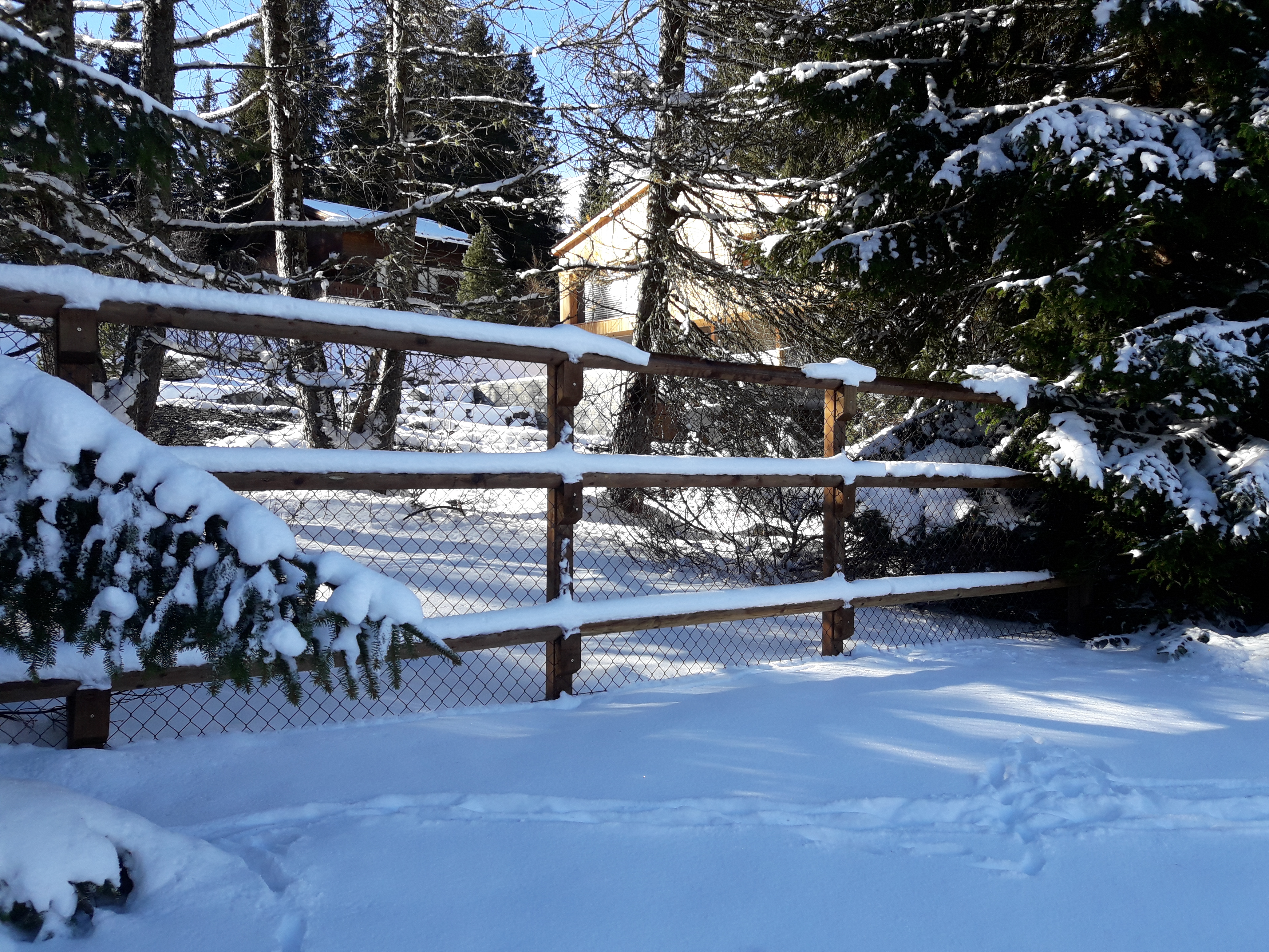 Weidezaun Lenzerheide