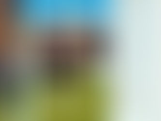 Alonso fue quien más proyectos presentó durante todo este año en la Legislatura Bonaerense