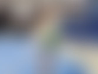 Gimnastas del Club Ciudad de Campana participaron del Torneo Federativo Nacional