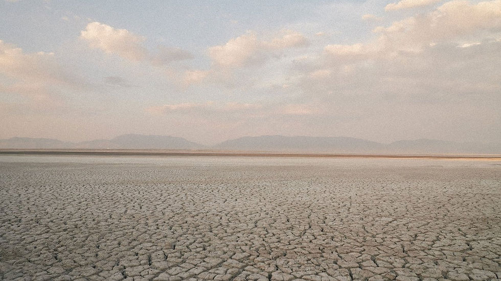 dessert image_edited.jpg