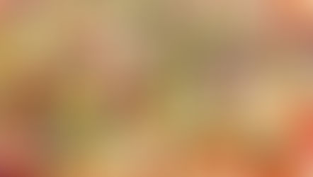 Pizza végétarienne