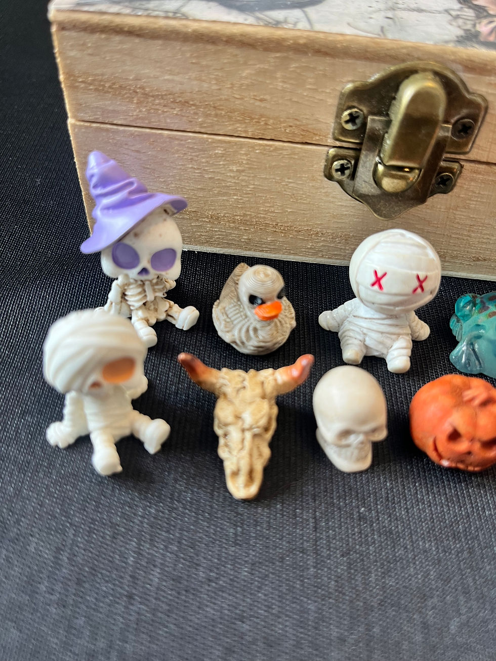 Thumbnail: Trinket Box With Collectable Curiosities