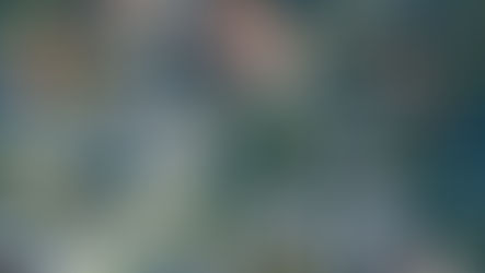 Financial Disclosure in Property Settlements: What It Is and Why It Matters