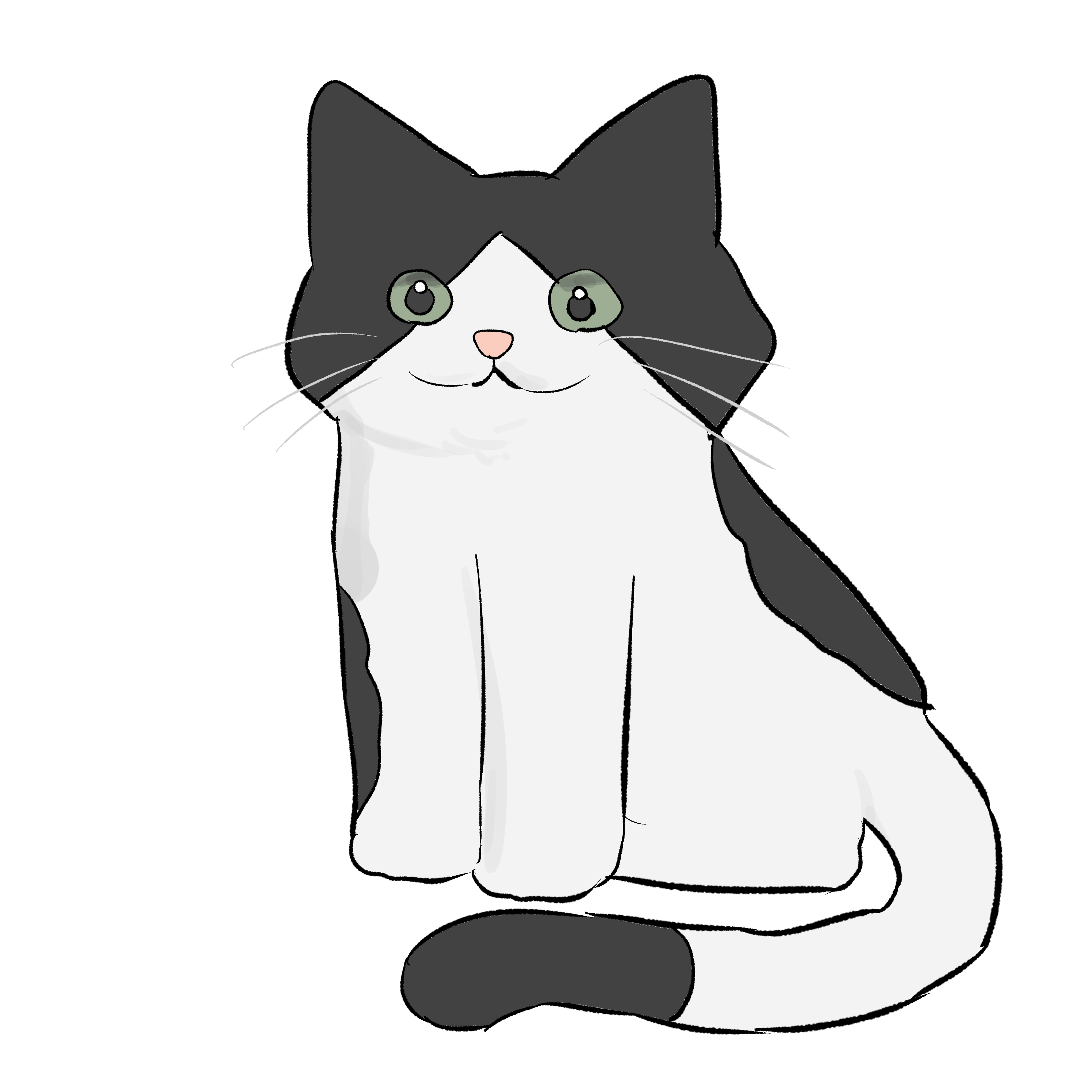 黒白ハチワレの猫