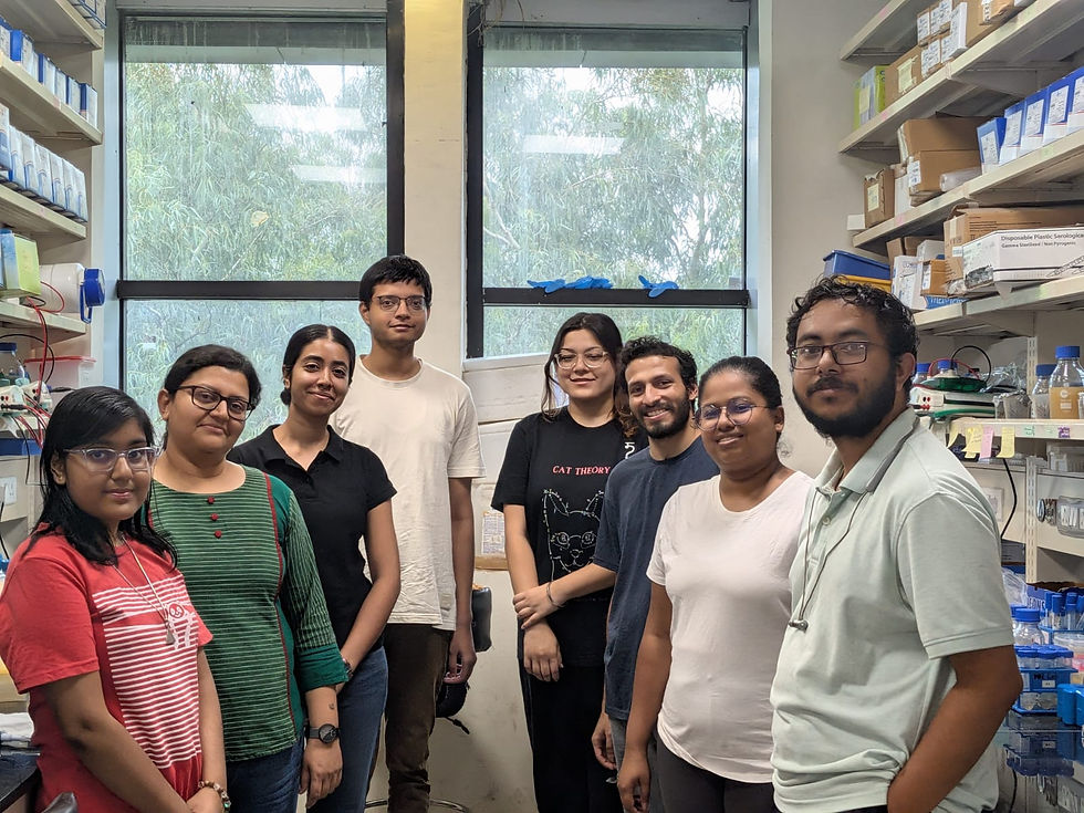 MN Lab - Summer '26