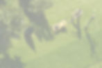 Man Mowing Lawn_edited.jpg