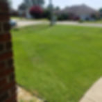 20200712_150712.jpg