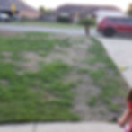20200510_193239.jpg