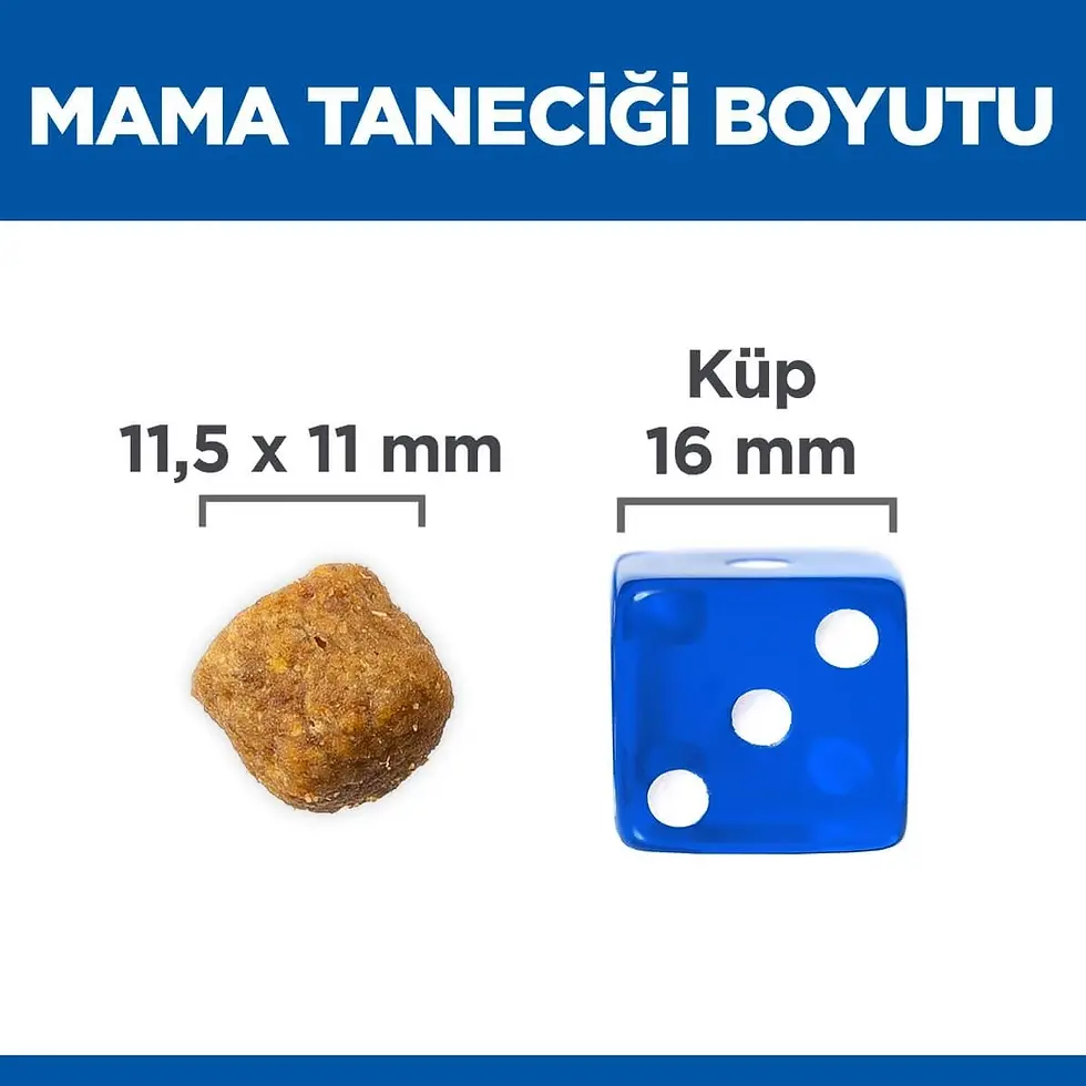 Küçük resim: Hills Kuzu Etli Yetişkin Kuru Köpek Kuru Maması 2.5 Kg