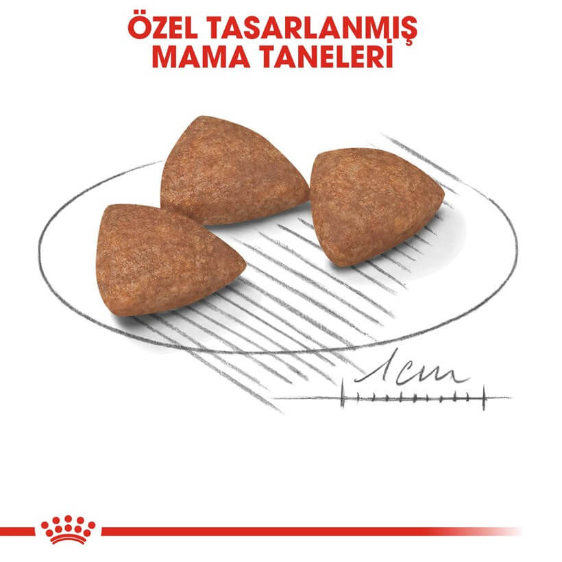 Küçük resim: Royal Canin Mini İndoor Adult Yetişkin Köpek Maması 1.5 Kg