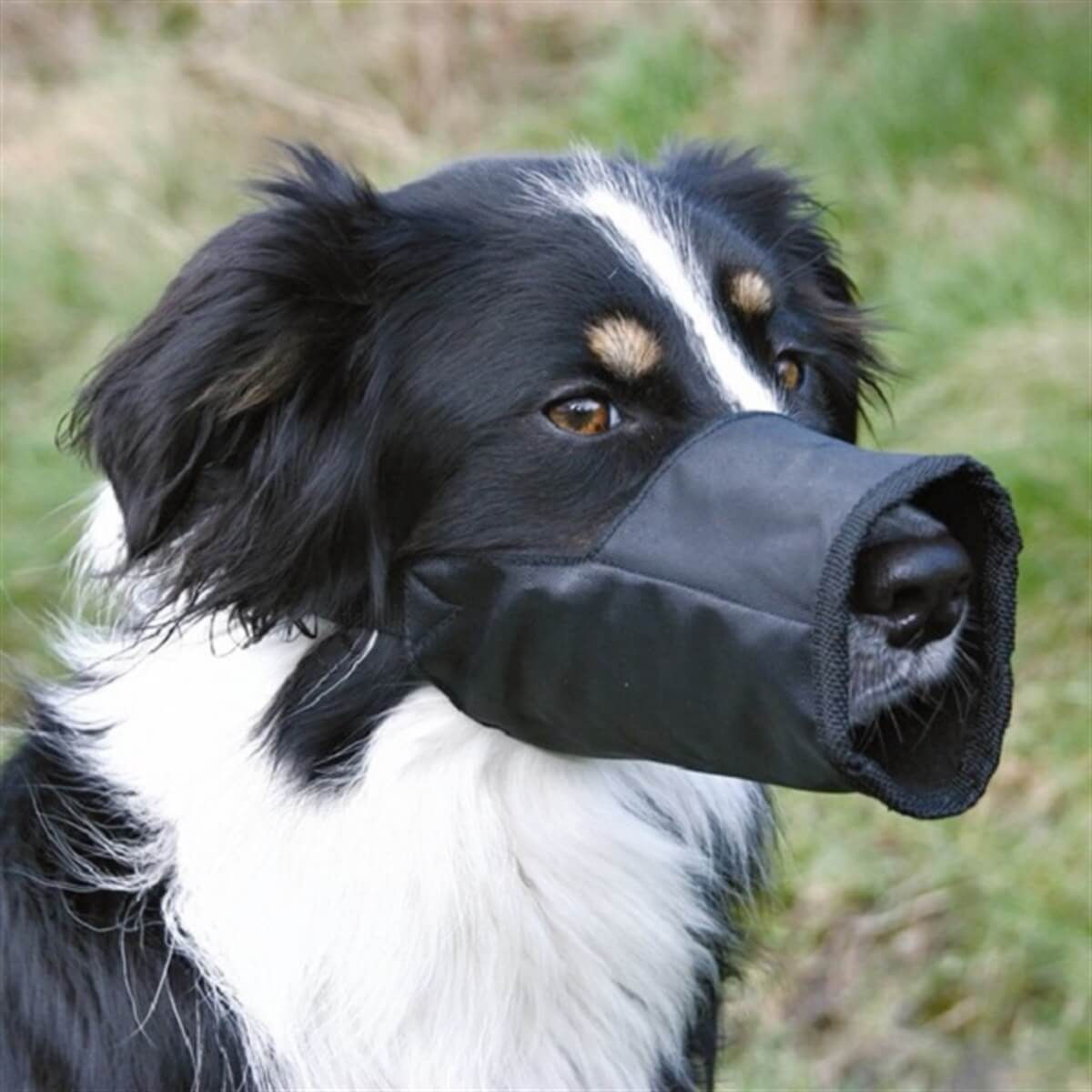 Trixie Köpek Ağızlık Siyah XXSmall