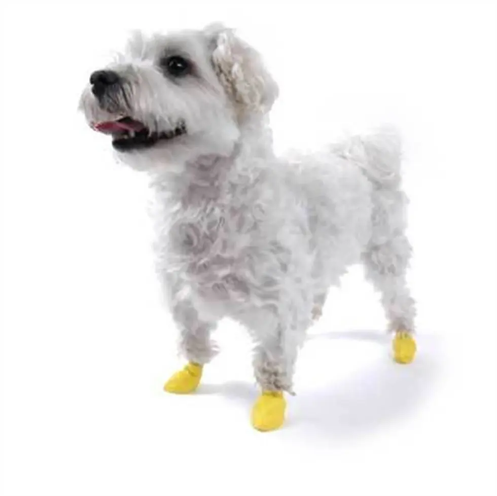 Küçük resim: Pawz Köpek Galoşu XX Small 12 Adet