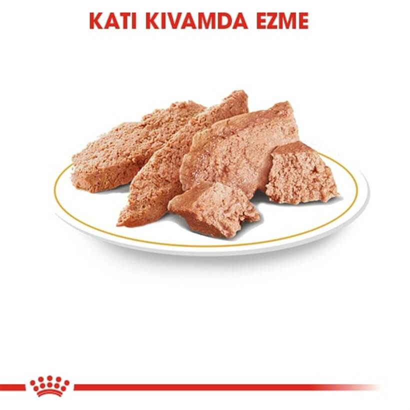 Küçük resim: Royal Canin Yorkshire Terrier Yetişkin Köpek Konservesi 85 Gr