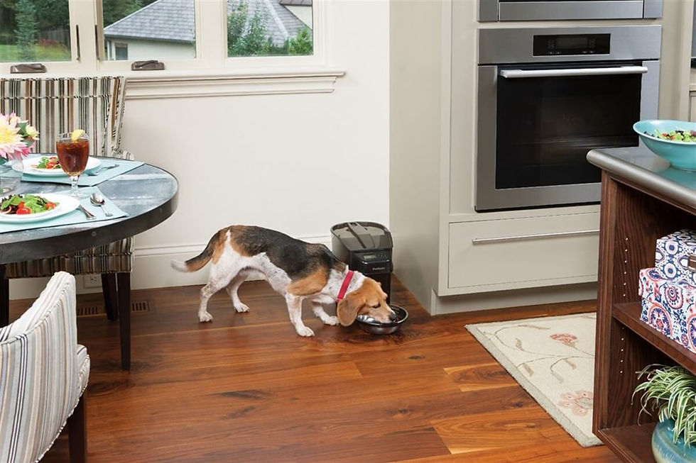 Küçük resim: Pet Safe Programlanabilir Digital Sağlıklı Beslenme Kabı