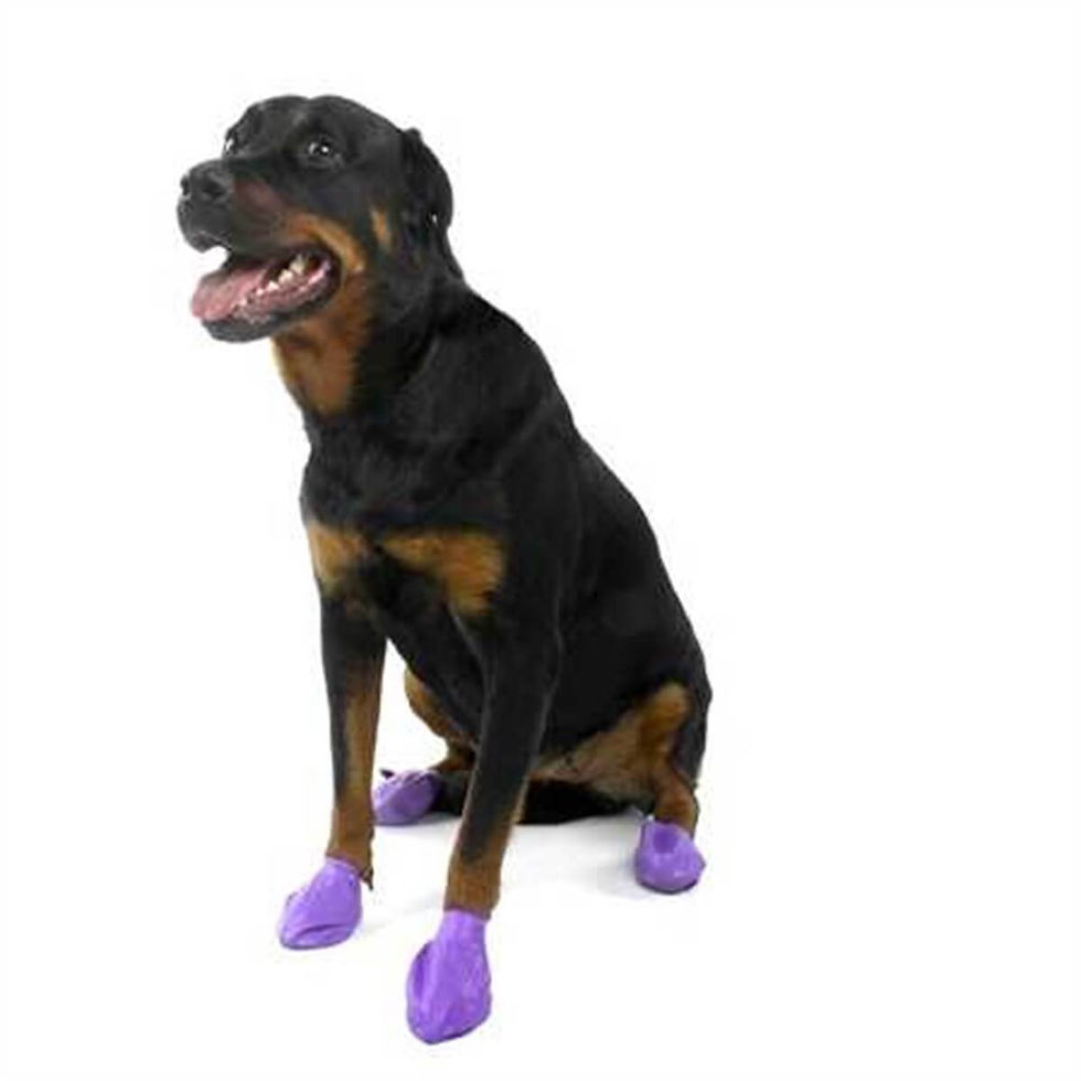 Küçük resim: Pawz Köpek Galoşu Small 12 Adet