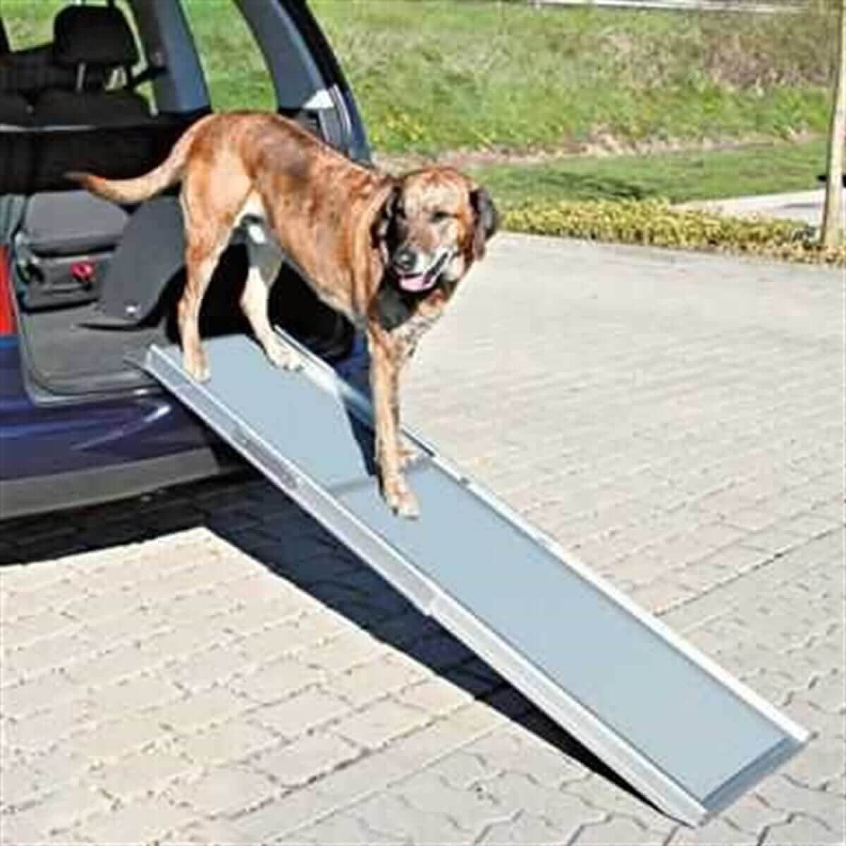 Trixie Köpek Teleskopik İniş Rampası 43x100-180cm
