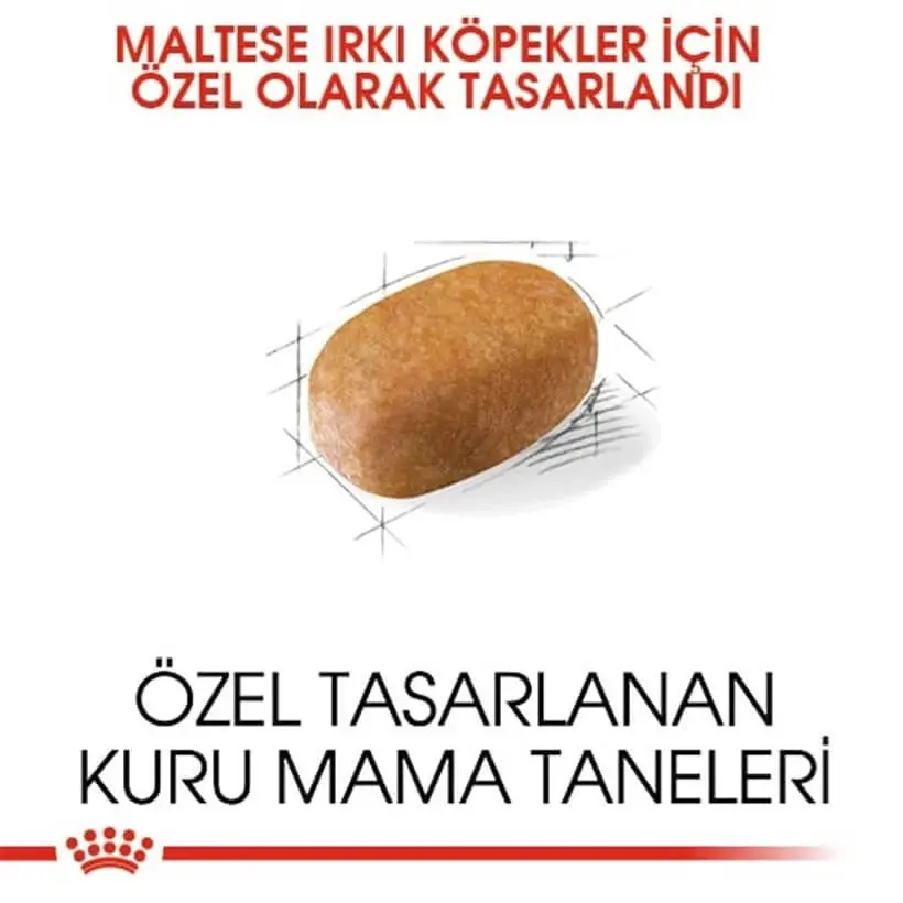 Küçük resim: Royal Canin Maltese Bichon Maltais Yetişkin Köpek Maması 1.5 Kg