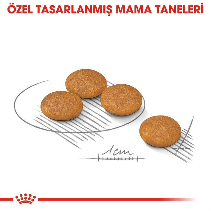 Küçük resim: Royal Canin CCN Mini Derma Köpek Maması 3 kg