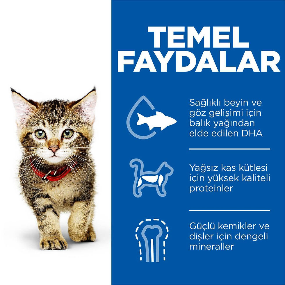 Küçük resim: Hills Kitten Tuna Balıklı Yavru Kedi Kuru Maması Tuna 1.5 Kg