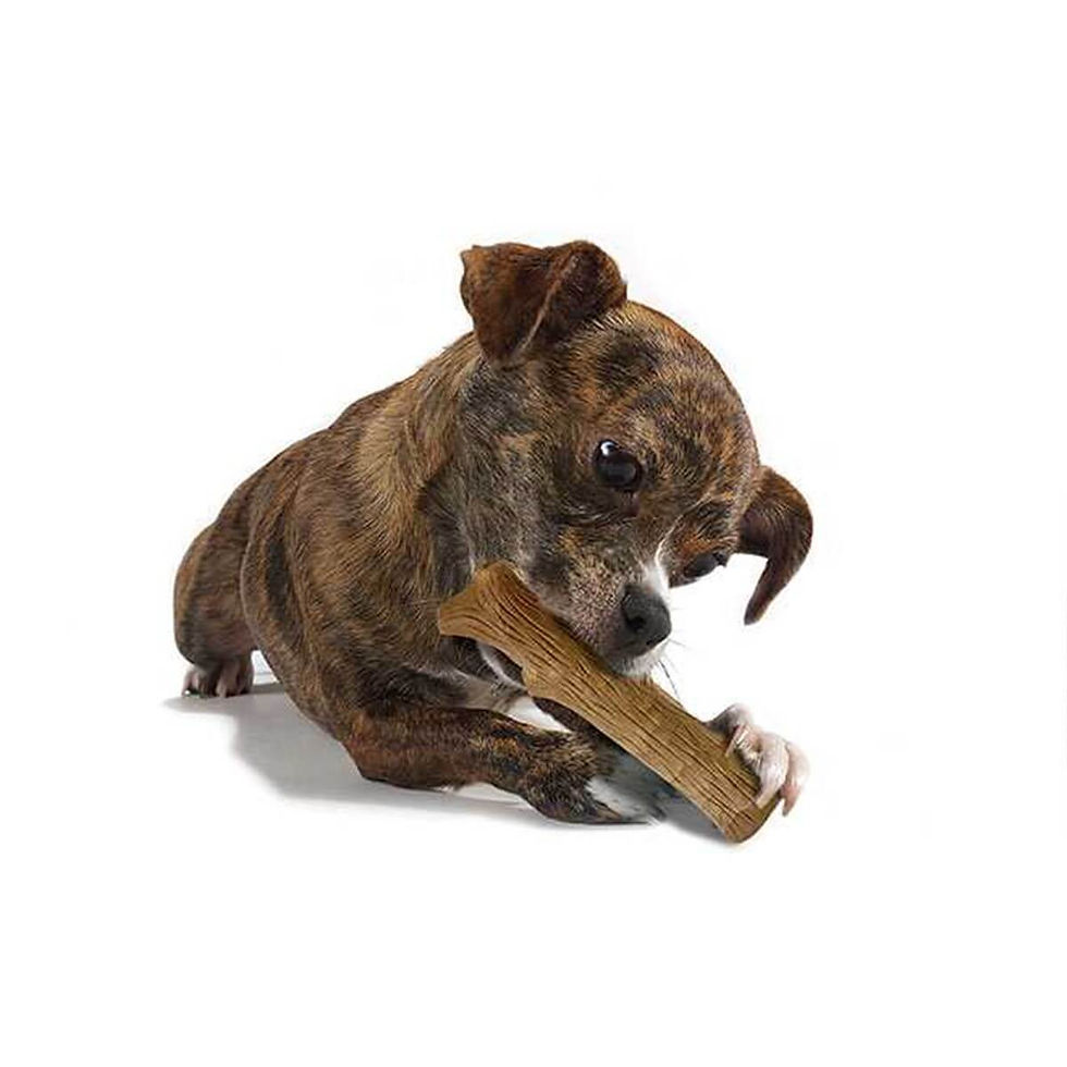 Küçük resim: Petstages Durable Sticks % 100 Doğal Kemirme Tahtası LARGE