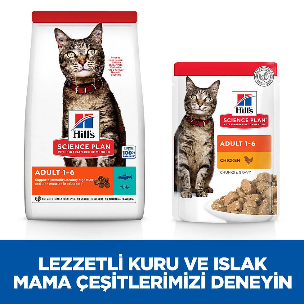 Küçük resim: Hills Feline Tuna Balıklı Yetişkin Kuru Kedi Maması 1.5 Kg