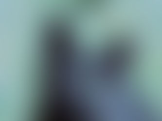 Commemorating Our Pets: The Significance of Custom Pet Portraits 