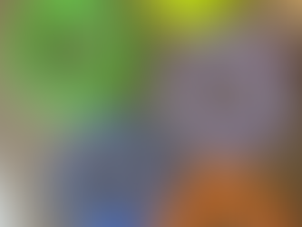 Leather vs. Biothane Dog Gear